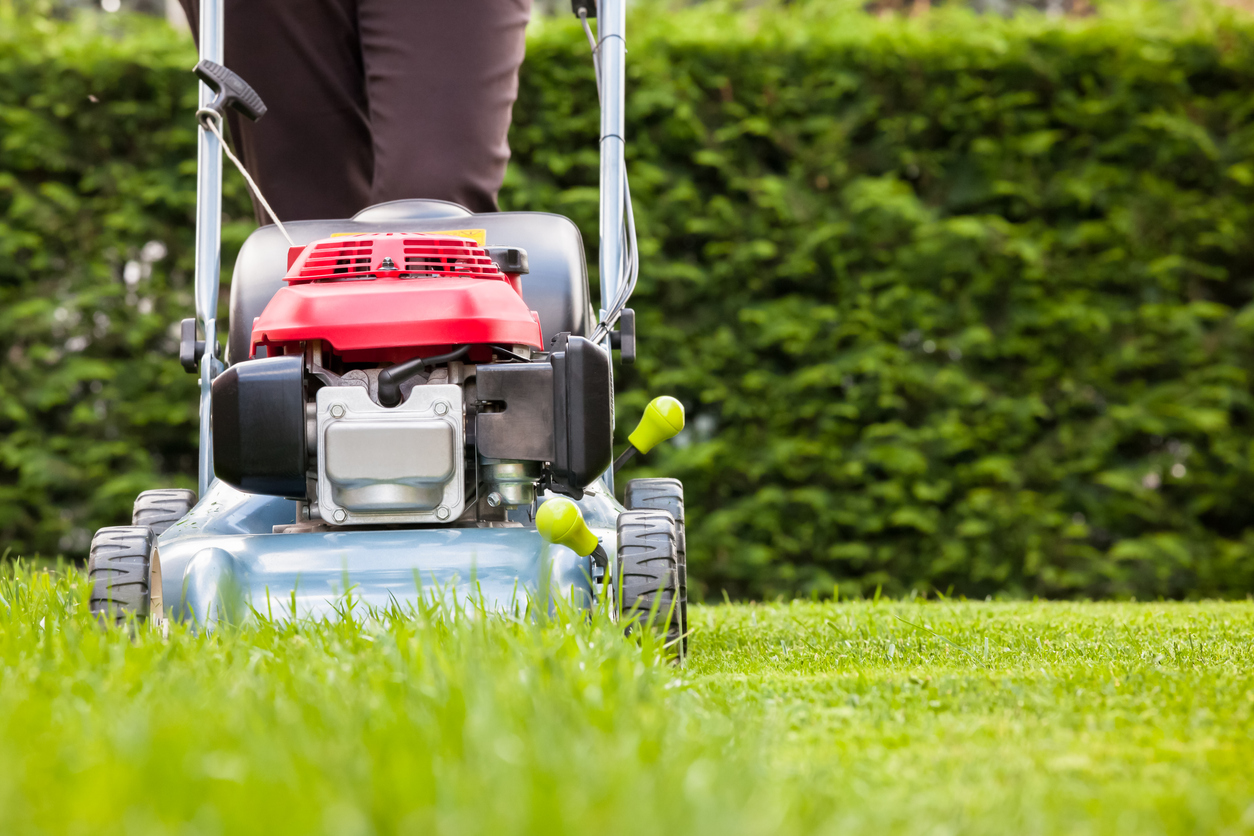 Man mowing lawn with push mower